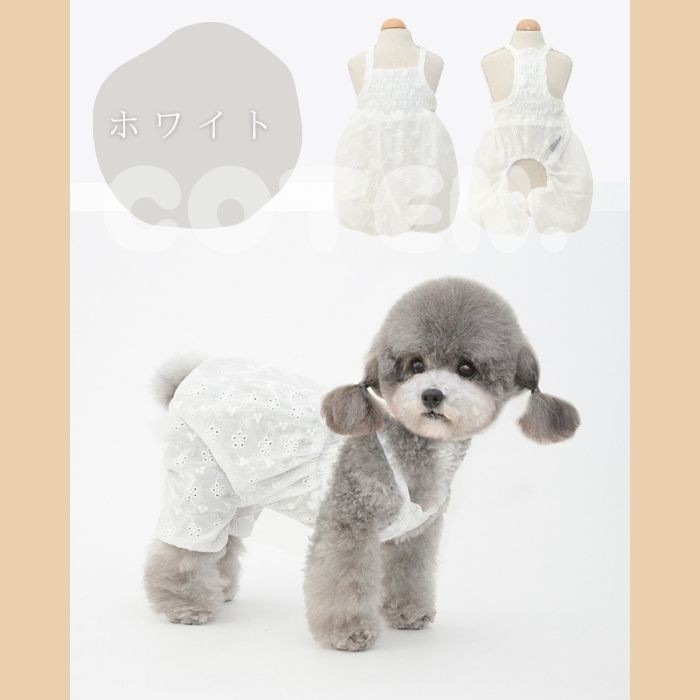 COTEN 犬 犬服 かぼちゃパンツ ふんわり パンツ サロペット 花柄