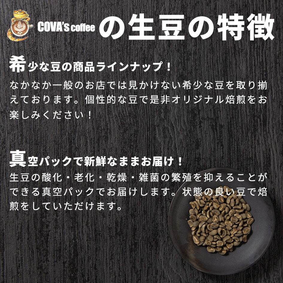 コーヒー 生豆 お得な 500g ブラジル トミオフクダ ドライオンツリー