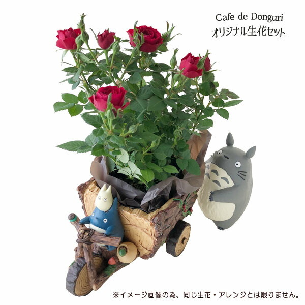 スタジオジブリ 合わせ買い不可 ジブリ グッズ となりのトトロ トトロ