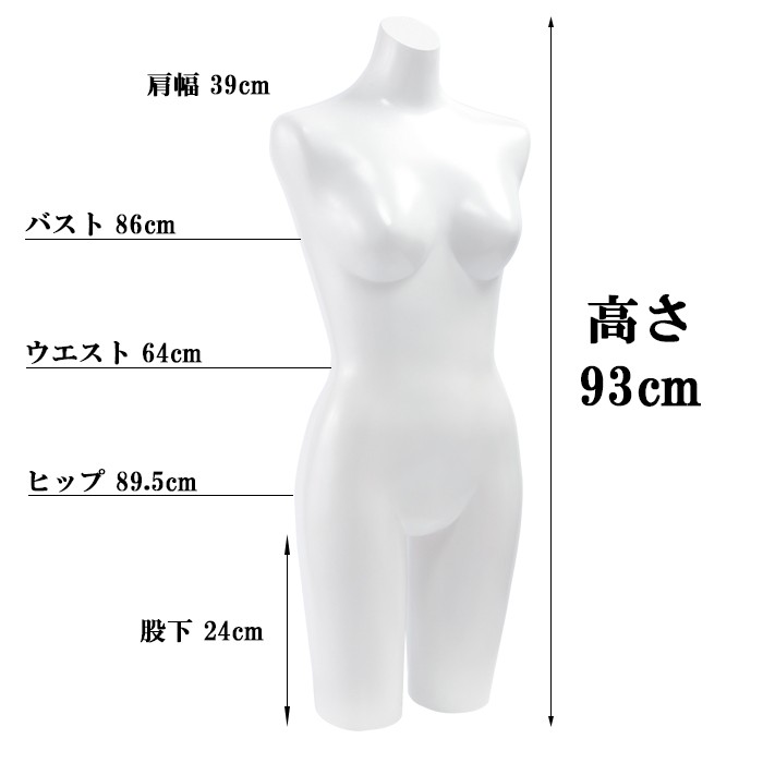 卓上トルソー レディース 9号 上半身マネキン ラッカーボディ カラー5