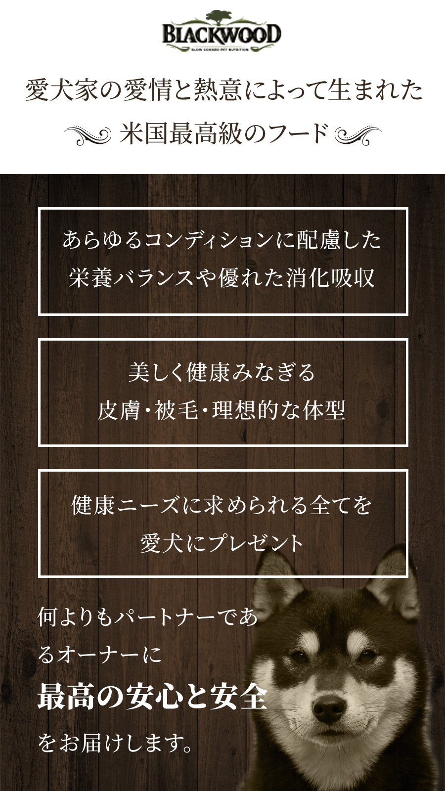 BLACKWOOD（ブラックウッド） (選べるプレゼント付き)ブラックウッド