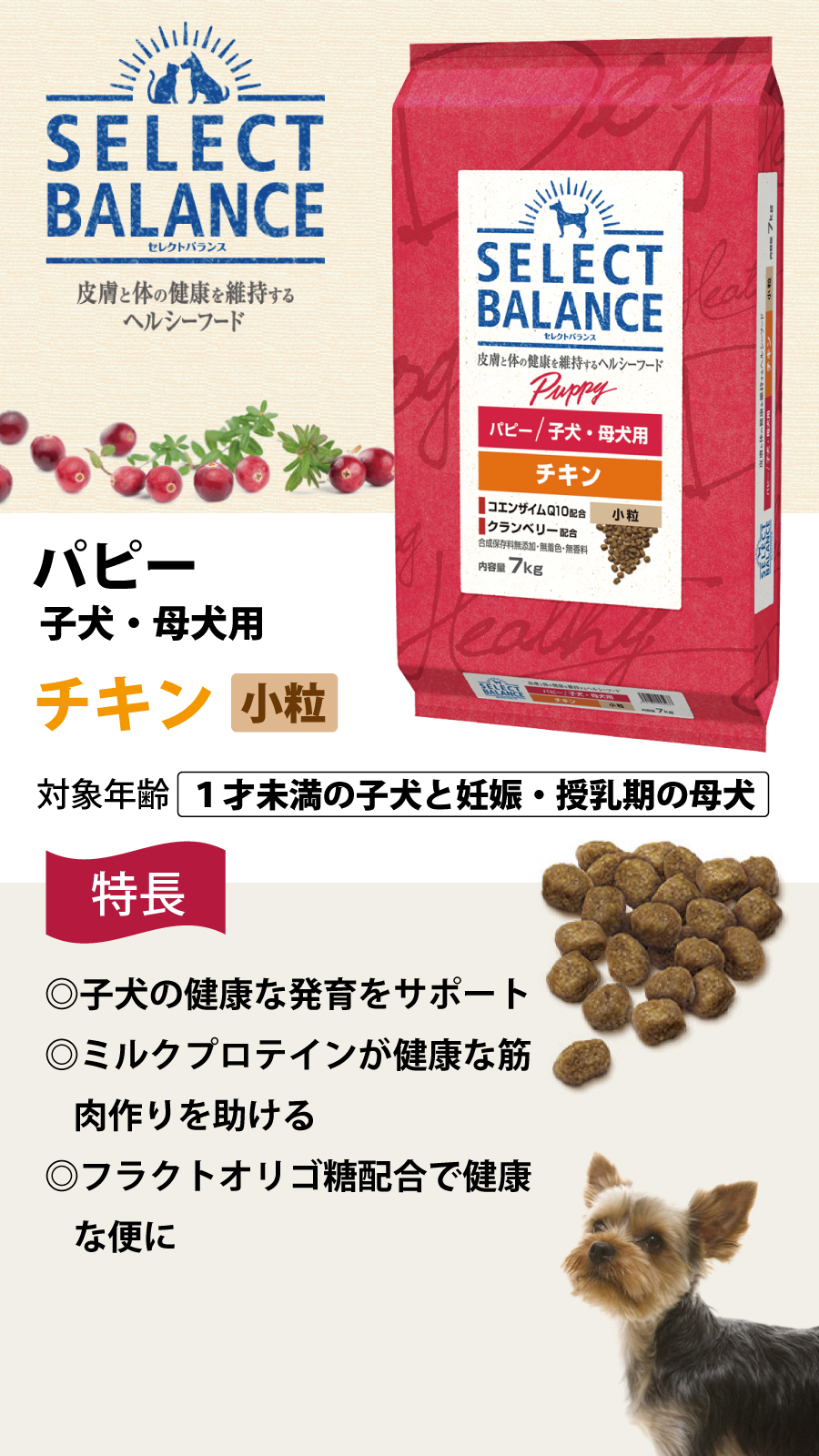 SELECT BALANCE セレクトバランス パピー チキン小粒 7kg×2個＋選べる