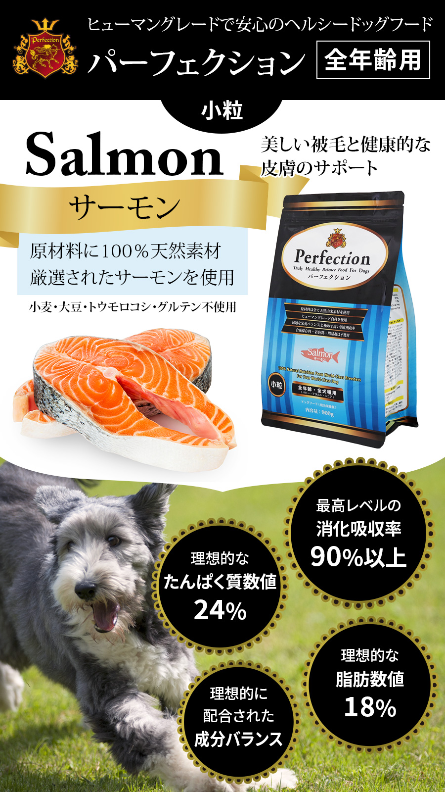 Perfection（パーフェクション） (選べるプレゼント付き) ドッグフード