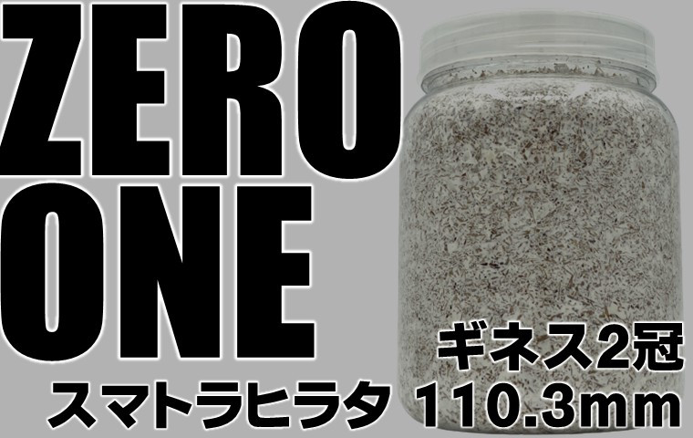 ZERO-ONE 2300 万能型菌糸 dda クワガタ 菌糸ビン 菌糸瓶 幼虫 エサ
