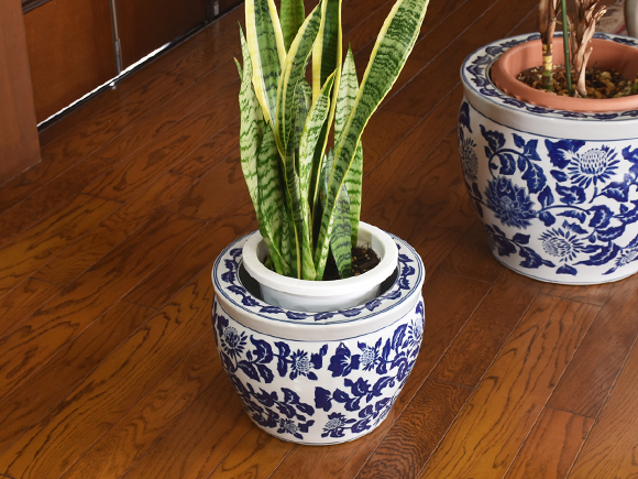 青白陶器草花小鉢 洋蓮 鉢カバー 水鉢 睡蓮鉢 金魚鉢 植木鉢 置物