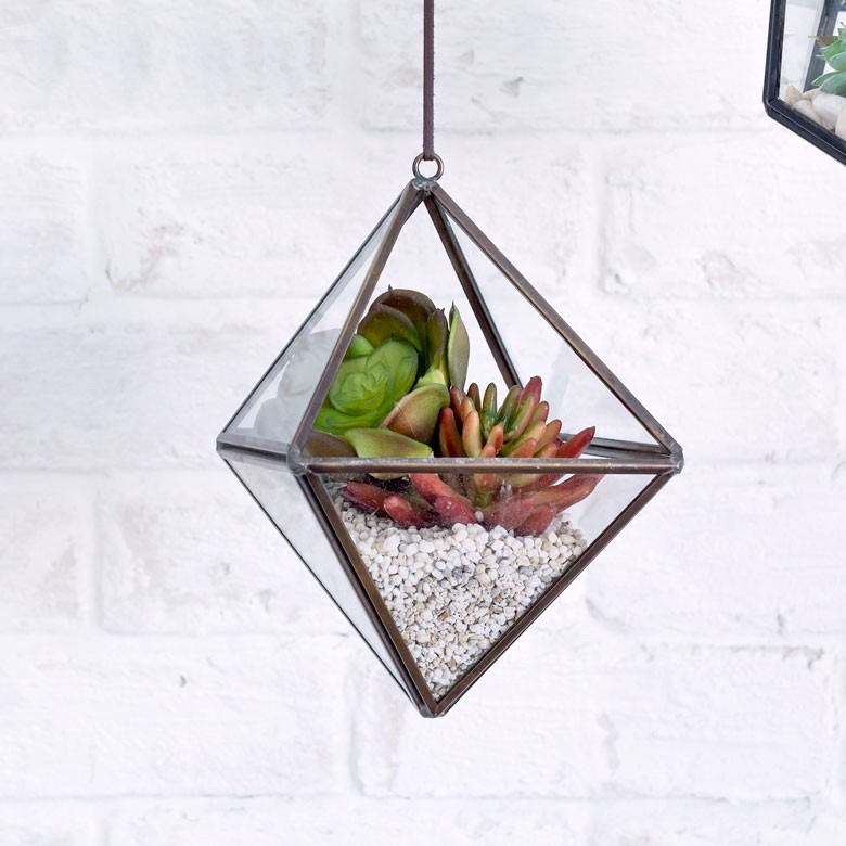 テラリウム ガラスケース ディスプレイケース フック付き 真鍮 ひし形