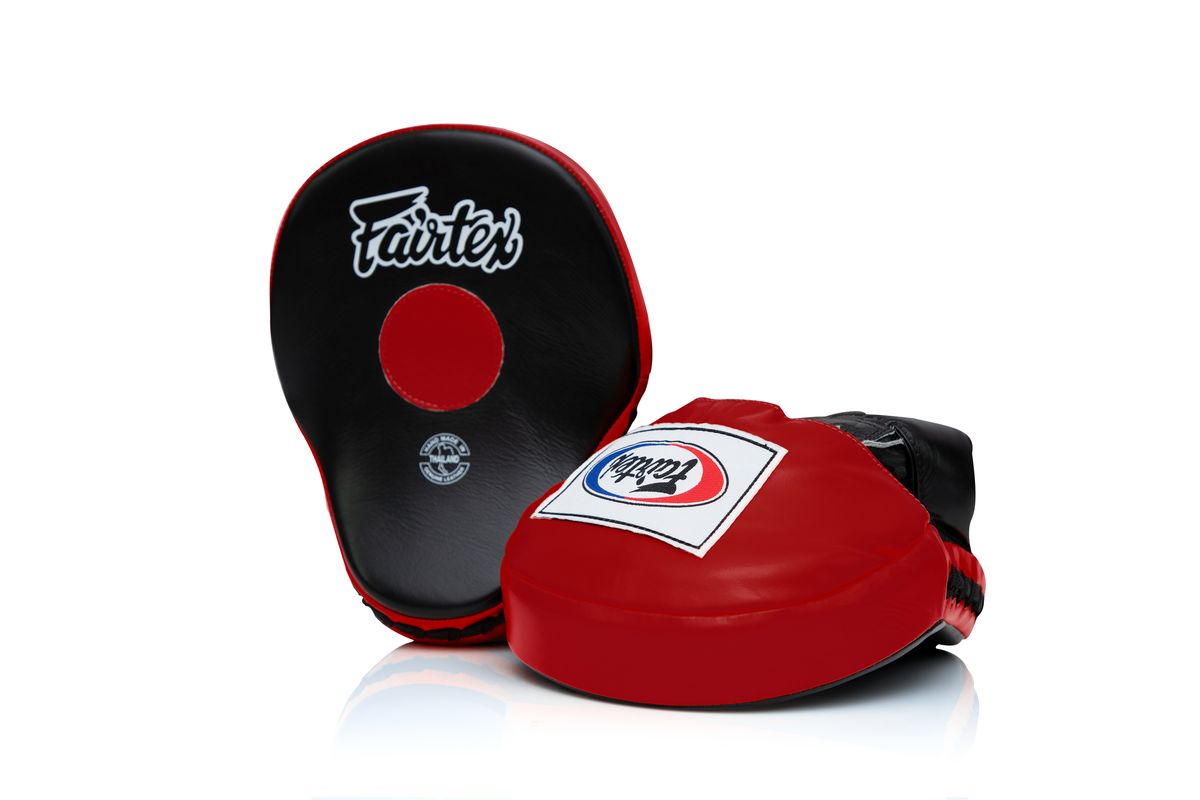 フェアテックス Fairtex 本革 フォーカスミット FMV9 大きい パンチ