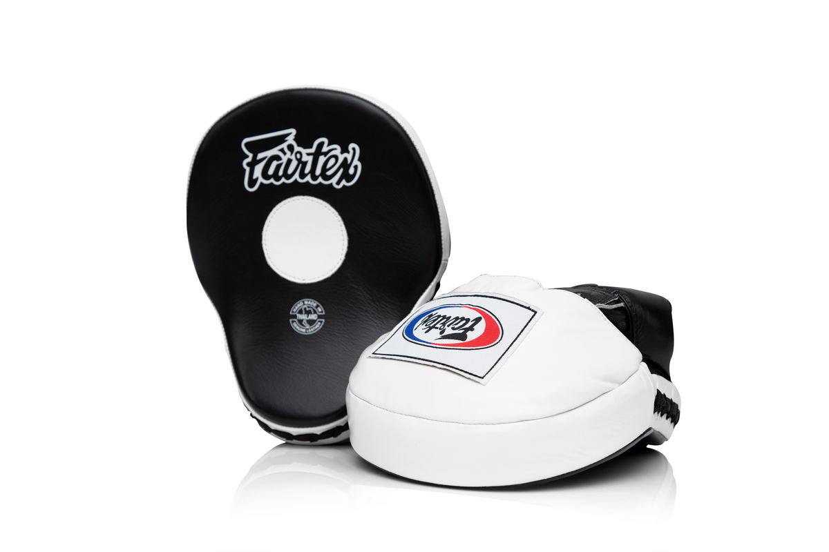 フェアテックス Fairtex 本革 フォーカスミット FMV9 大きい パンチ