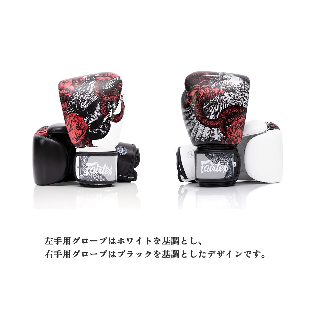 フェアテックス Fairtex ボクシンググローブ BGV24 専用バッグセット