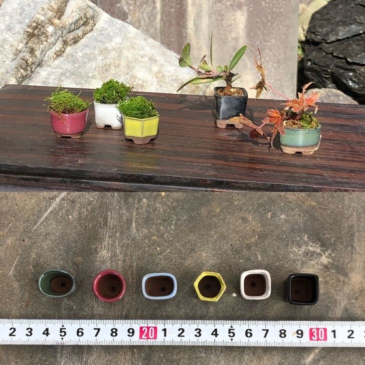 盆栽鉢 絶品時代ミニ盆栽鉢秀峰切り立長方鉢山野草寄せ植小鉢植木鉢