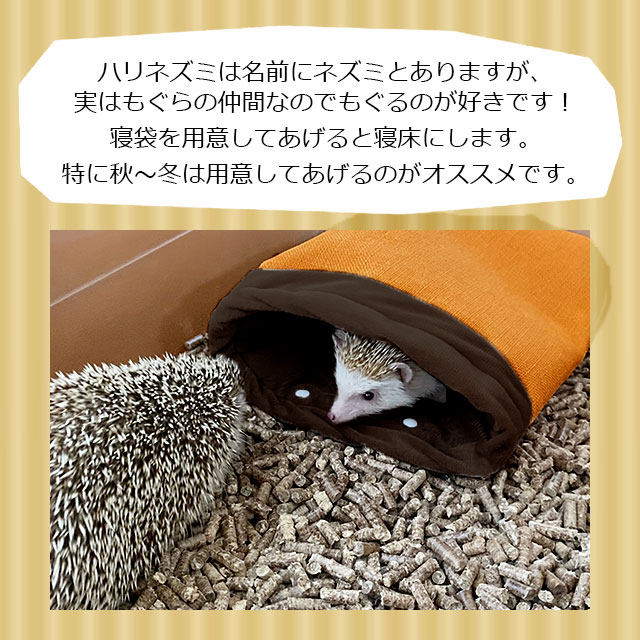 ハリネズミ寝袋㊿