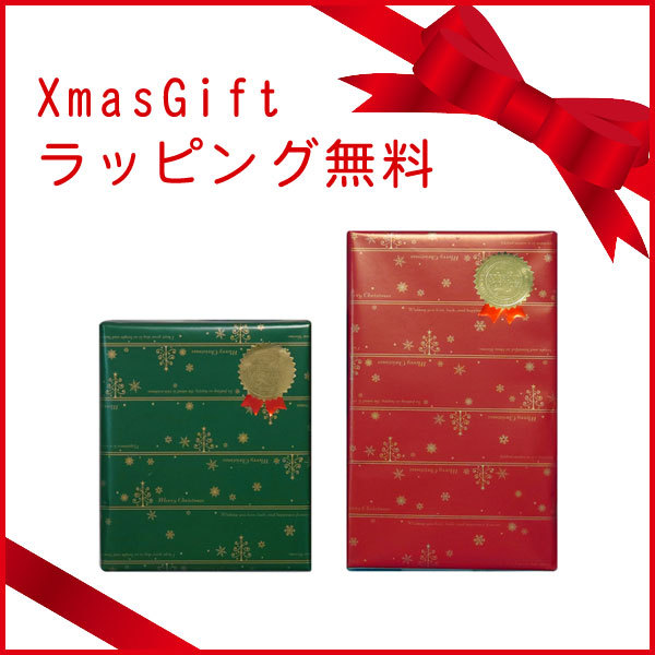 Fun Science（ファン・サイエンス） ストームグラスセット スノーマン