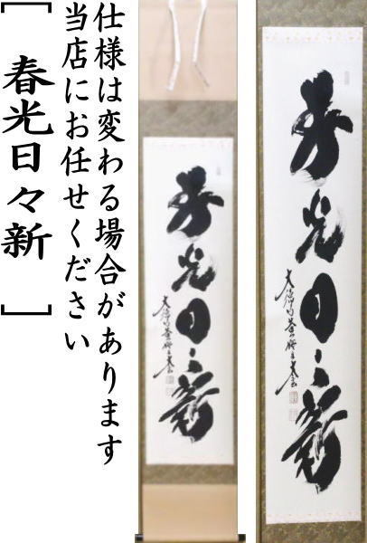 茶道具 掛軸 掛け軸 一行 春光日々新 小林太玄筆 茶道 : 茶道具いまや