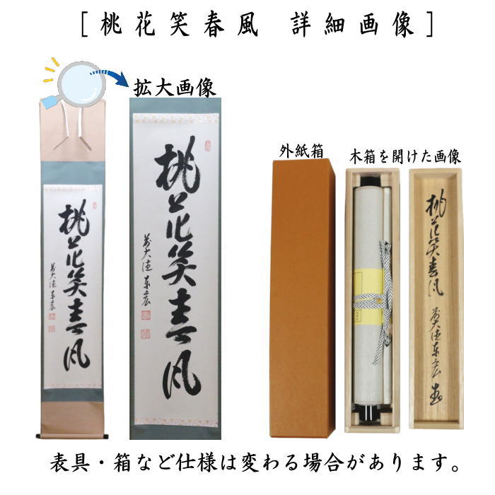 茶道具】茶掛 大徳寺 戸上明道 『笑春風』春洋画 共箱 美品 茶道具