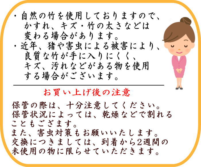 茶道具 銘付茶杓 古竹 銘 小男鹿 田島碩應筆 久保左京作 こ竹 茶杓
