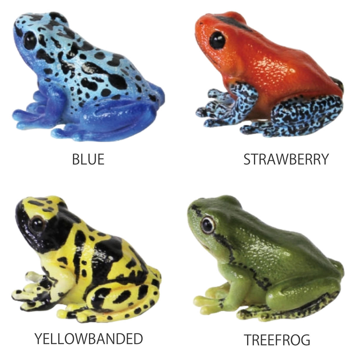 magnet オブジェ REPTILES MAG ヤドクガエル アマガエル （ クリップ