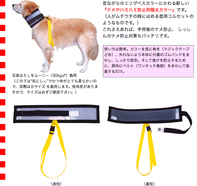 バイトノットカラー 7号サイズ（51273） : 大型犬用品専門店 アイアン