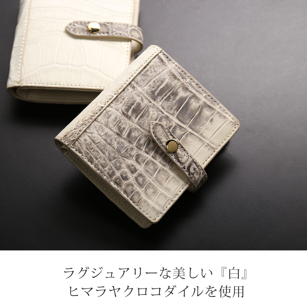 sankyo shokai（三京商会） [5%offクーポン]ヒマラヤ クロコダイル