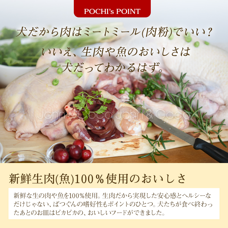 POCHI（ポチ） ザ・ドッグフード ベーシック ワイルドサーモン 3kg