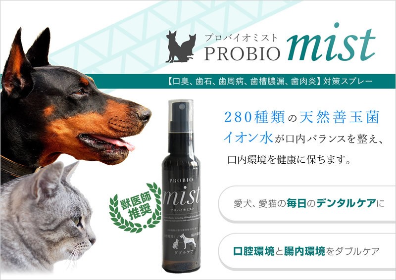 プロバイオミスト 80ml スプレー歯磨き 正規品 犬 猫 デンタルケア 歯