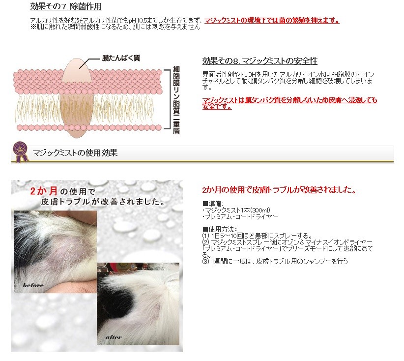 マジックミスト マジックミスト詰替用 Magic Mist 1000ml : K-wan