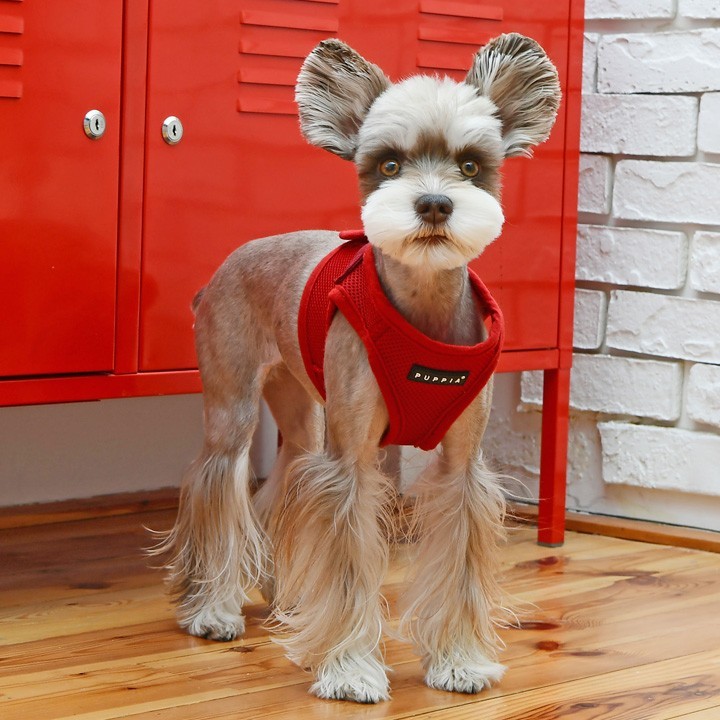 犬 服 夏 大型犬 ソフトベストハーネス XXXL PUPPIA パピア 正規品