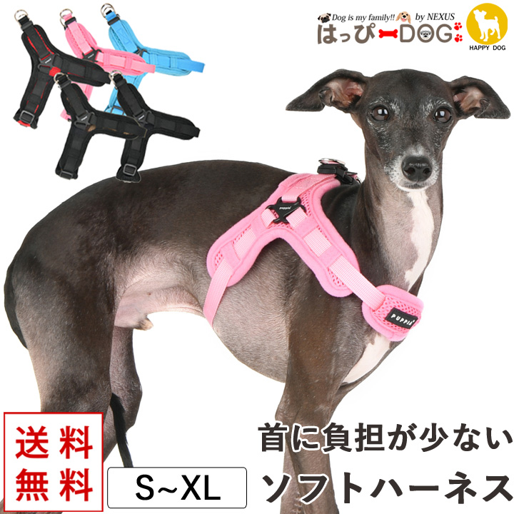 はっぴーDOG イタグレ ウィペット イタリアングレーハウンド ハーネス