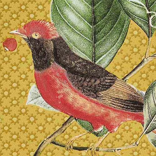 サンゲツ（SANGETSU） XSELECT 輸入壁紙 オランダ Eijffinger 花柄