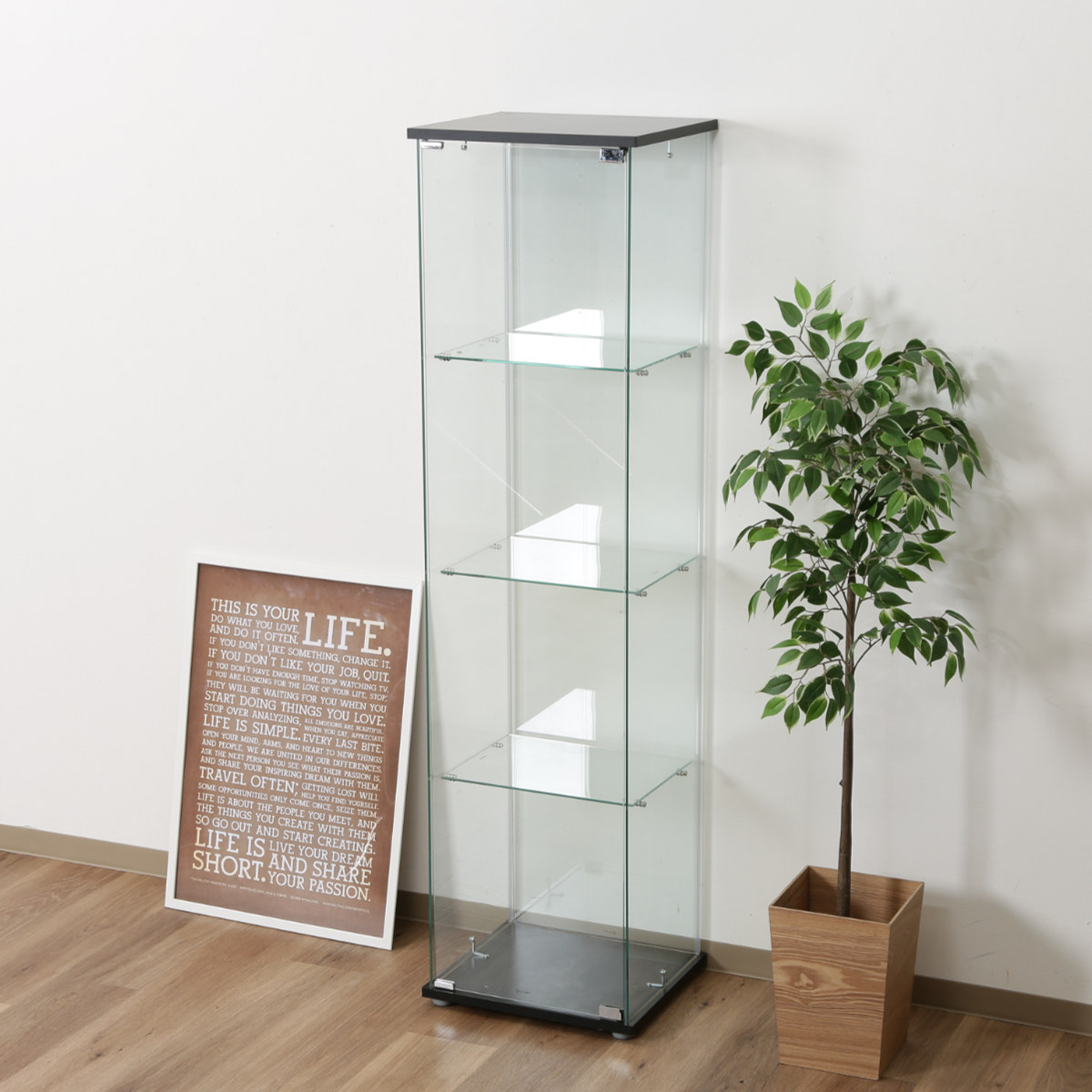 不二貿易（Fuji Boeki） コレクションケース 4段 幅42.5cm 4面ガラス