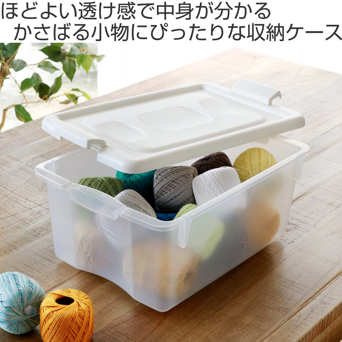 JEJアステージ 収納ケース 幅24.5×奥行34×高さ15.5cm 衣装ケース