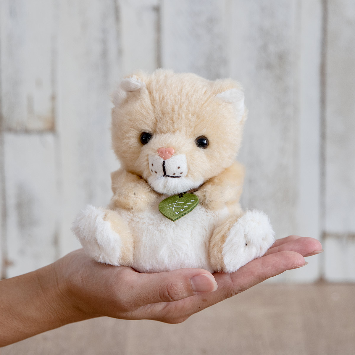 ぬいぐるみ potte メスライオン （ ヌイグルミ ライオン メス 動物