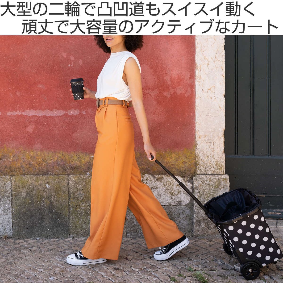 reisenthel（ライゼンタール） ショッピングカート CARRYCRUISER FRAME