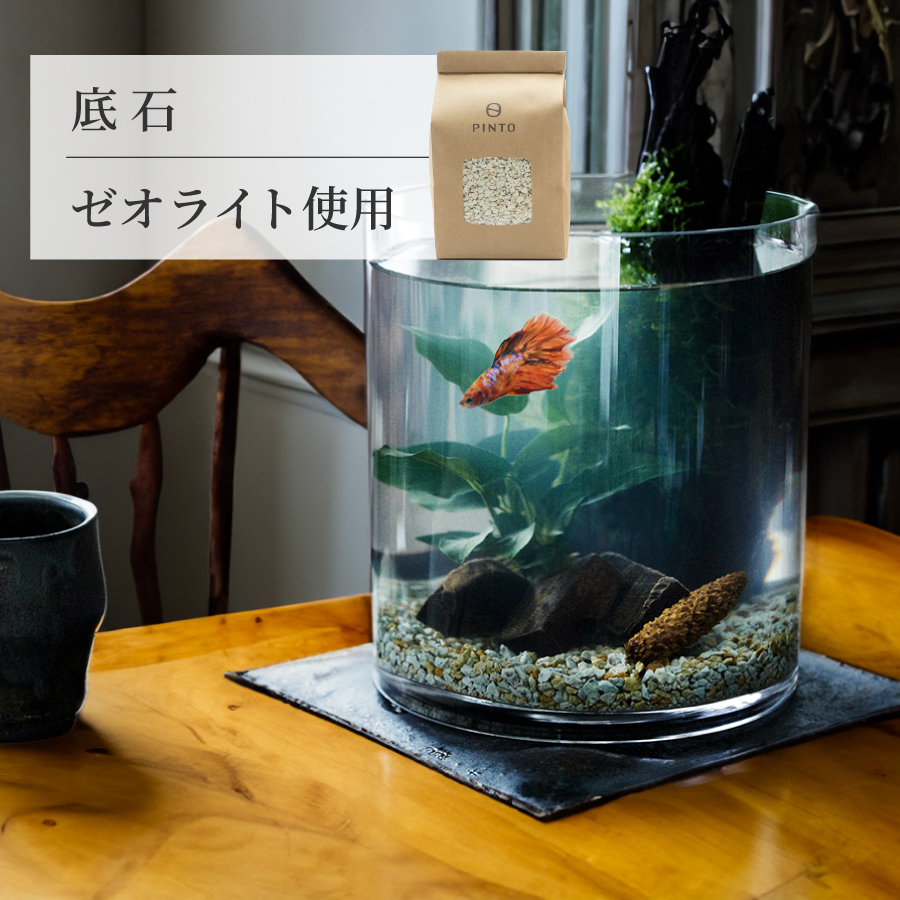 WWW AQUA 水槽 オールインワン アクアリウム ベタ ジオラマ 観賞魚 WWW