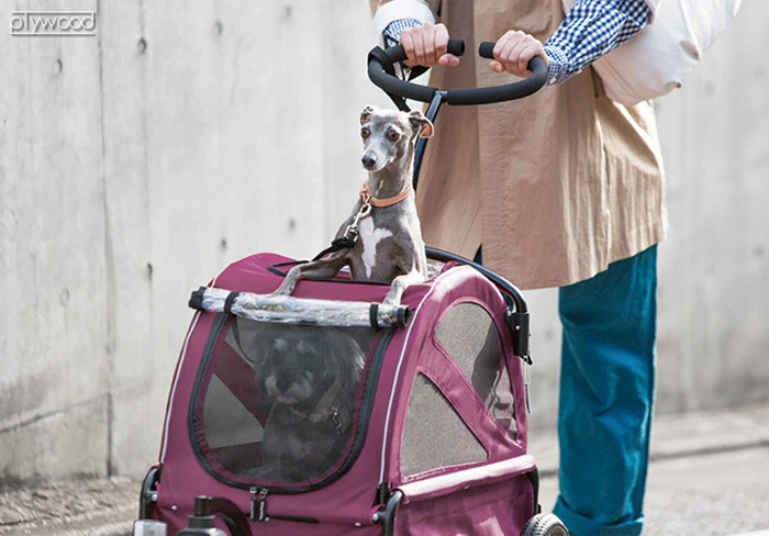 AIRBUGGY（エアバギー） 【特典付】正規品 キューブ トゥインクル