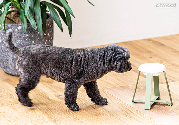 ペコロ フードスタンド pecolo Food Stand S hightall [ステンレス