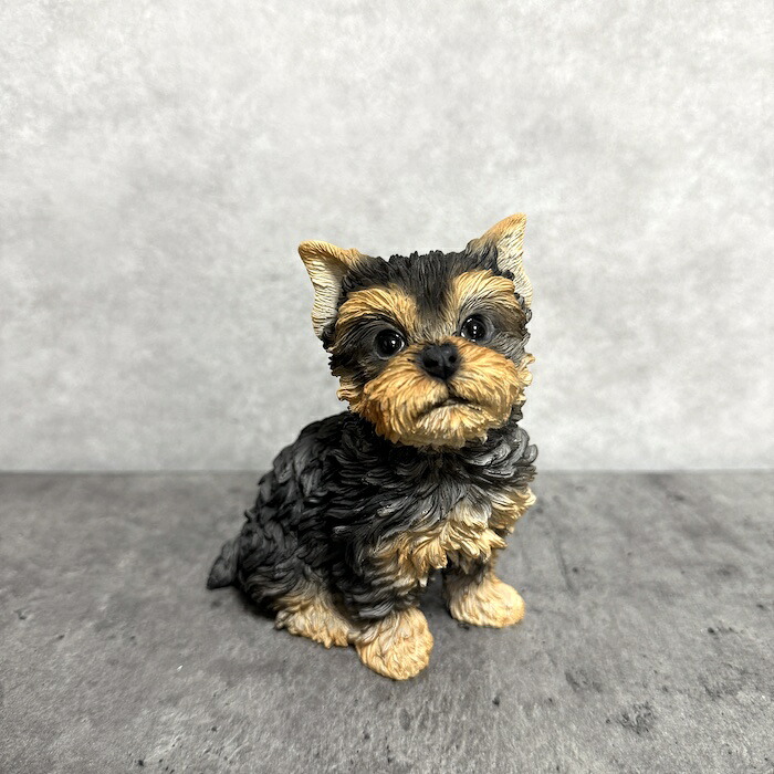 リヤドロ LLADRO 犬 ヨーキー ヨークシャーテリア リヤドロ フィギュ