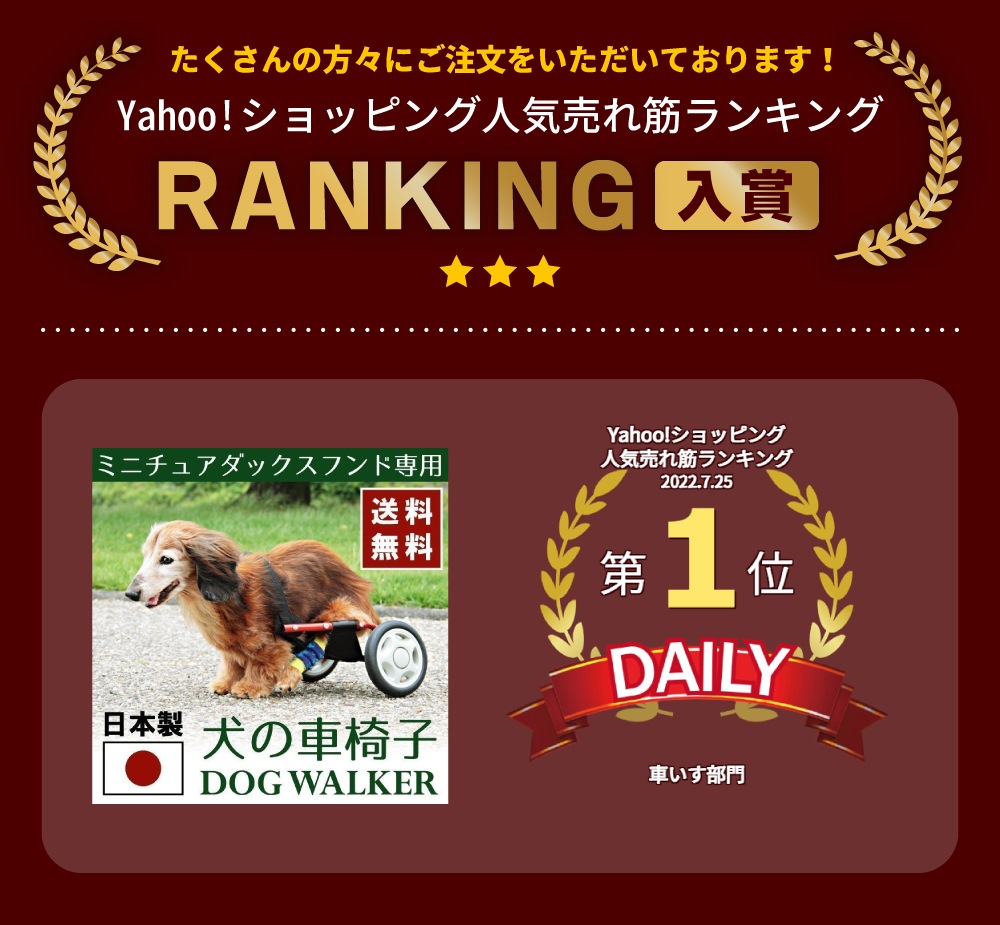 犬用車椅子 歩行器 リハビリ ミニチュアダックス専用 ペット用 補助輪