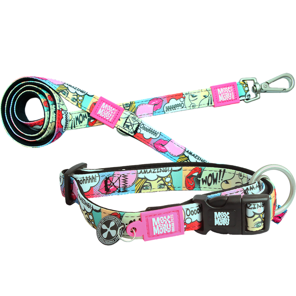 犬用首輪 犬用リード 2点セット お散歩セット マックス＆モーリー L