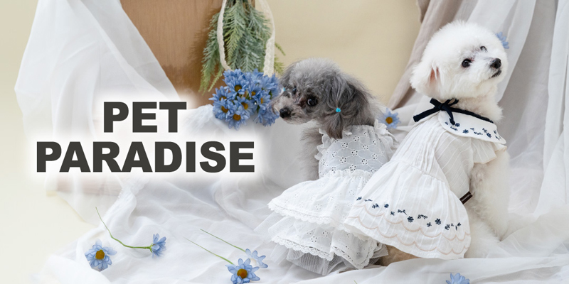 ペットパラダイス - ペットパラダイス｜Yahoo!ショッピング