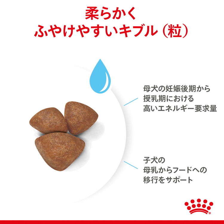 ロイヤルカナン（ROYAL CANIN） SHN ミニ スターター マザー＆ベビー