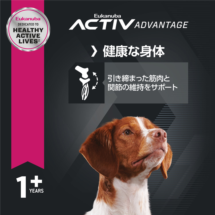ユーカヌバ アダルト ラム＆ライス 成犬用 全犬種用 1歳以上 ( 800g