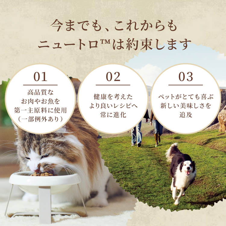 ニュートロ ナチュラルチョイス 避妊去勢 超小型〜小型 成犬 チキン