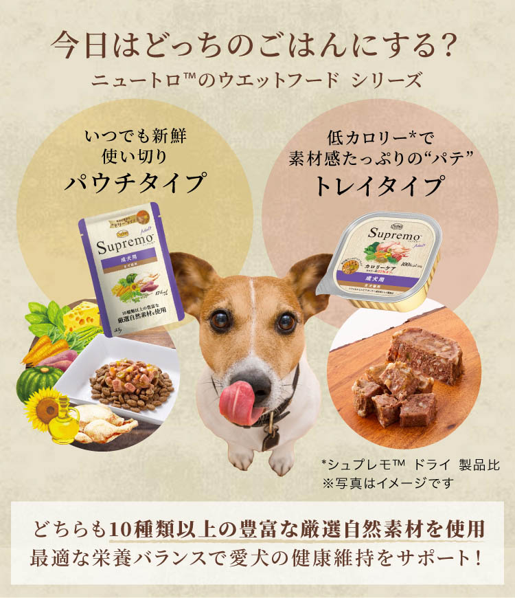 ニュートロ シュプレモ 子犬用 小粒 6kg ドッグフード ( )/ シュプレモ