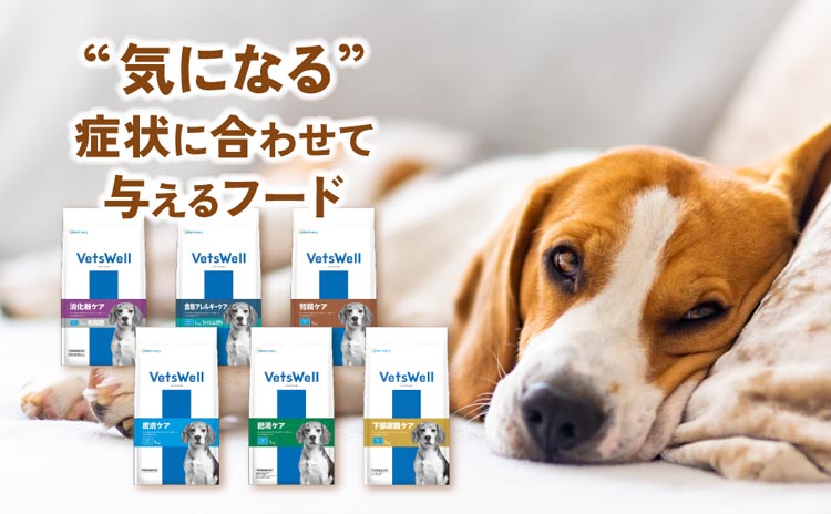 ベッツウェル 犬用食事療法食 肥満ケア ( 3kg )/ : ペットランドYahoo