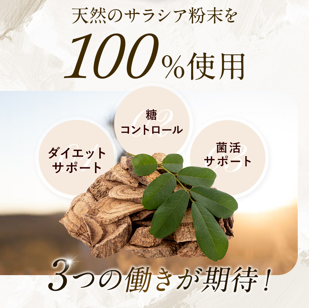 ROTTS サラシア 100% サプリ Dietサラシア 30カプセル 糖質制限