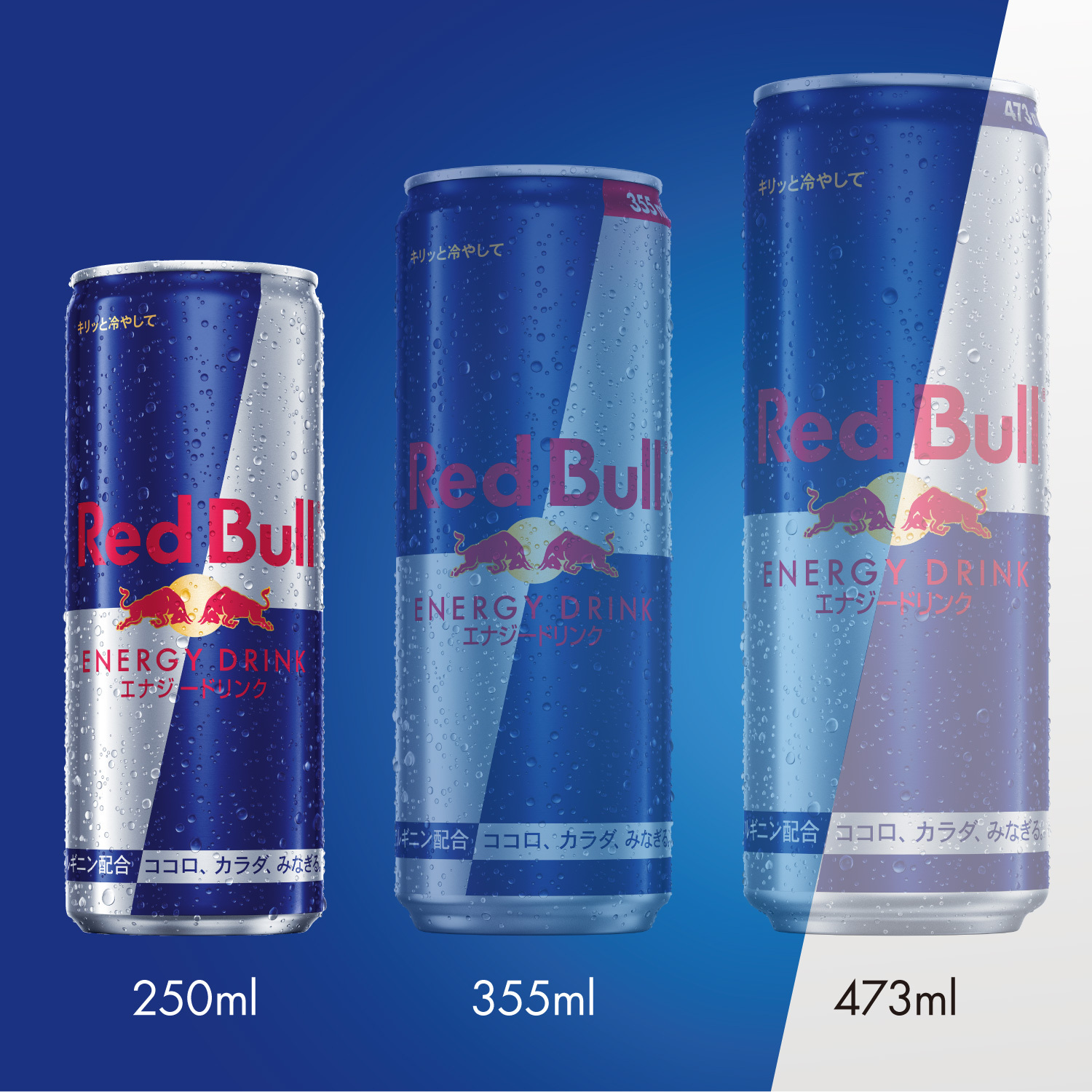 レッドブル（RedBull） 公式 エナジードリンク 250ml×24本(24本×1