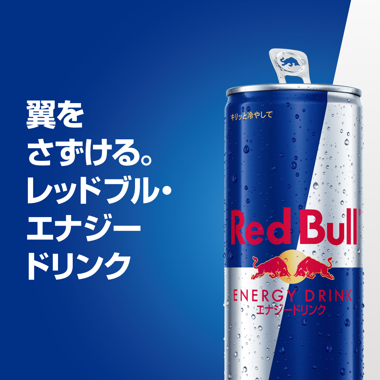 レッドブル（RedBull） ＼17%OFFクーポン対象 2/11まで／公式 エナジー