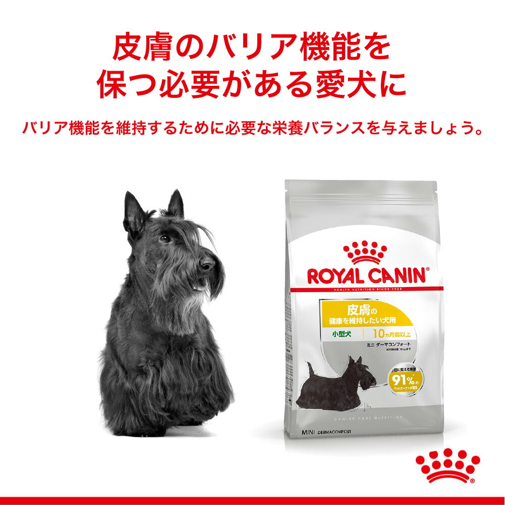 ケーナイン ケア ニュートリション 【2kg×2袋】ロイヤルカナン CCN