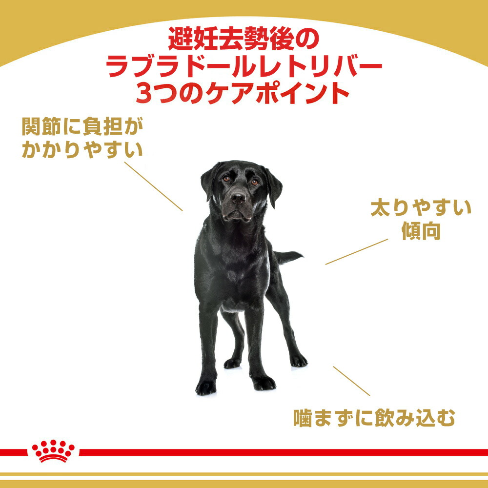 ブリード ヘルス ニュートリション ロイヤルカナン BHN ラブラドール