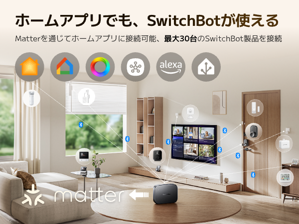 SwitchBot（スイッチボット） SwitchBot AI ハブ 見守りカメラPlus 5MP
